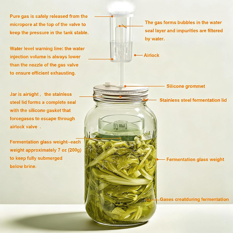Fermentation Crock - Fermantasyon Kiti, Geniş Ağızlı Mason Kavanozları
